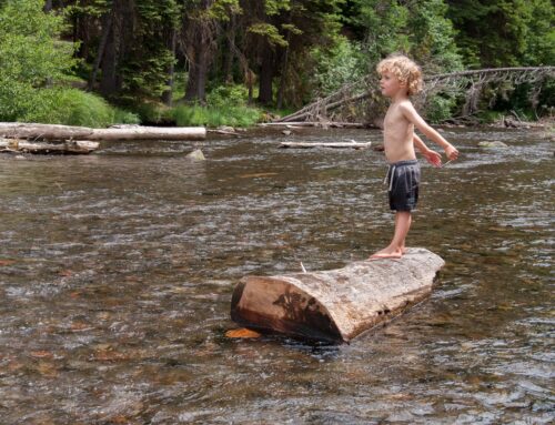 Family-Friendly-GALLERY-6881