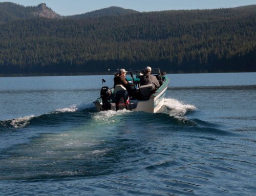 Fishing-GALLERY-0585