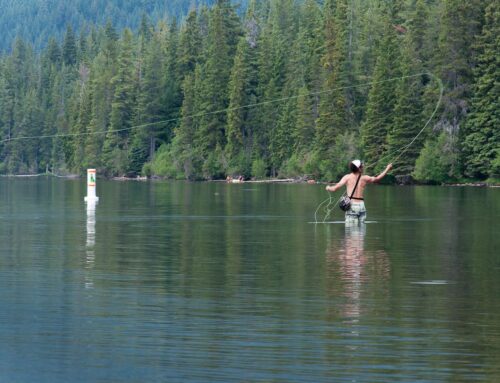 Fly-Fishing-GALLERY-6941