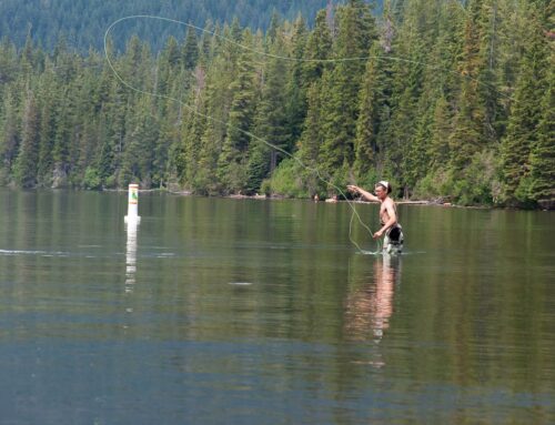 Fly Fishing GALLERY-6960