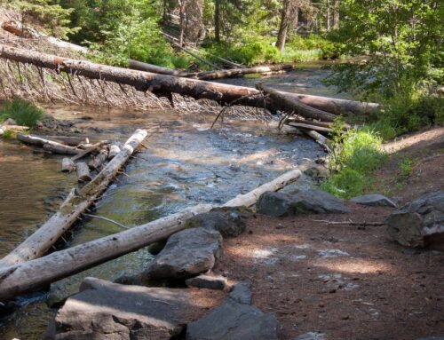 Hiking-GALLERY-1001