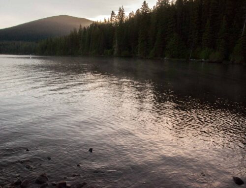Hiking-GALLERY-5013