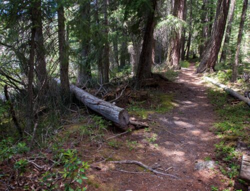 Hiking-GALLERY-7514