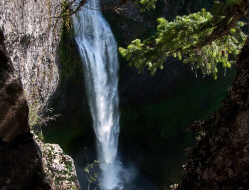 Hiking-SCF-GALLERY-5948
