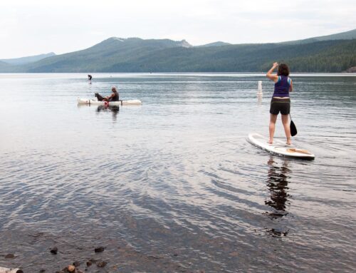 Paddle-Boards-GALLERY-6439