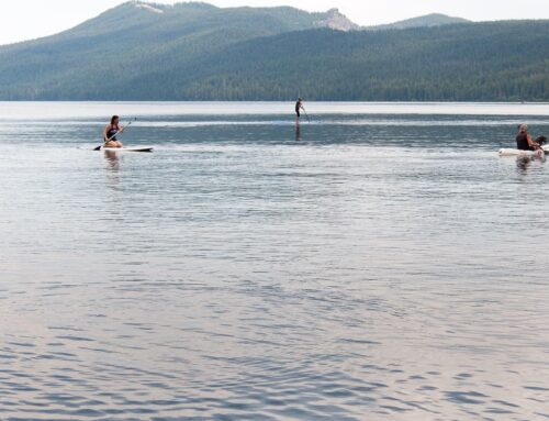Paddle-Boards-GALLERY-6458