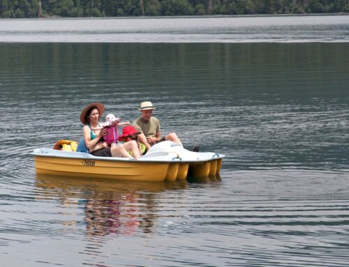Paddle-Boats-GALLERY-6748