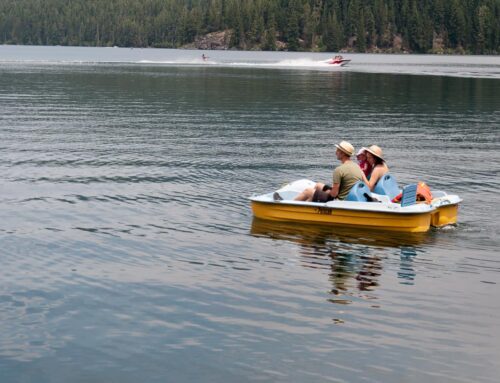Paddle-Boats-GALLERY-6754