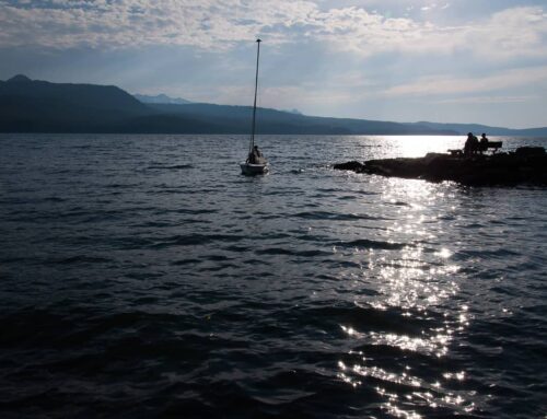 Sail-Boating-GALLERY-7309